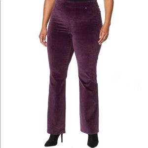 DG2 Diane Gilman Purple Velvet Bootcut Pants.